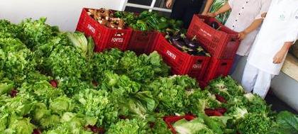 Moradora de Américo doa verduras à Santa Casa