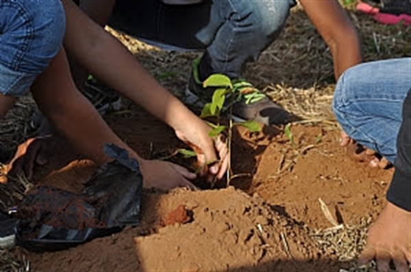 (Foto: Divulgação/Prefeitura de Votuporanga)