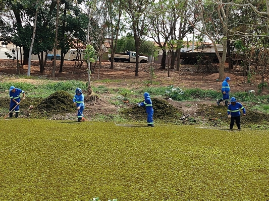 Com a conclusão desse trabalho, a autarquia e a Cetesb emitirão um laudo técnico com as conclusões que determinarão novas medidas (Foto: Saev Ambiental)