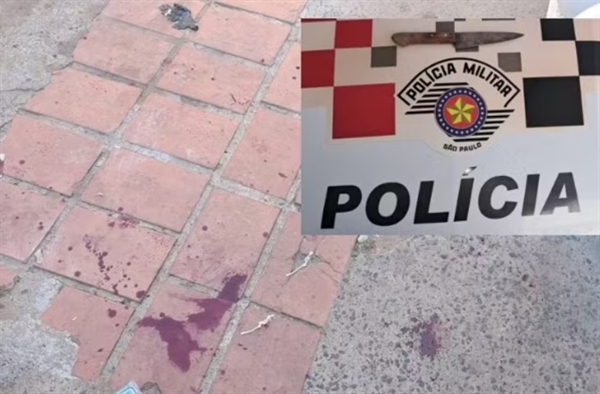 Dentro da residência, a esposa confirmou aos policiais que segurou o animal enquanto o marido executava o procedimento (Foto: Divulgação /Região Noroeste)