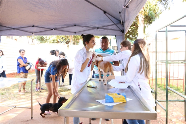 O resultado coloca a graduação em destaque entre as melhores avaliadas do país (Foto: Unifev)