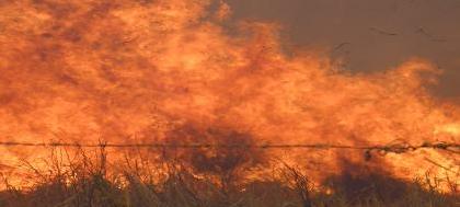 Corpo de Bombeiros atende 87 ocorrências de incêndios