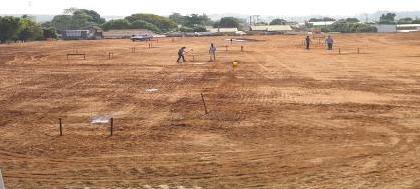 Proença Supermercados lança hoje início das obras