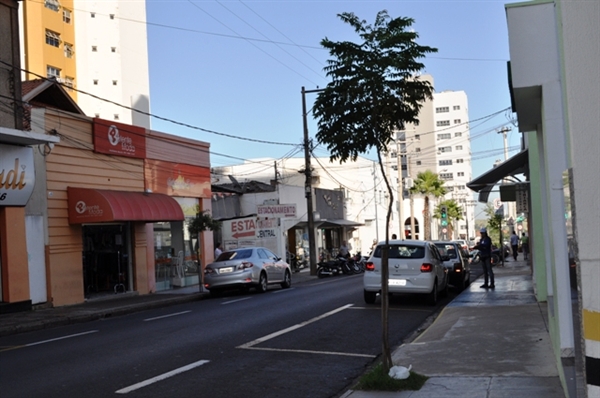 Falta de chuvas prejudica projeto ‘Votuporanga Mais Verde’ 