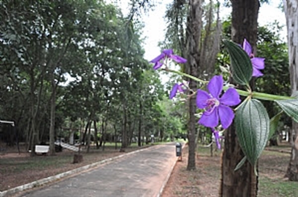 (Foto: Divulgação/Prefeitura)