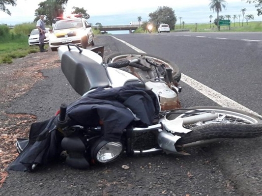 O animal invadiu a pista repentinamente, não permitindo que a motociclista freasse em tempo hábil (Ilunstrativa/A Cidade)