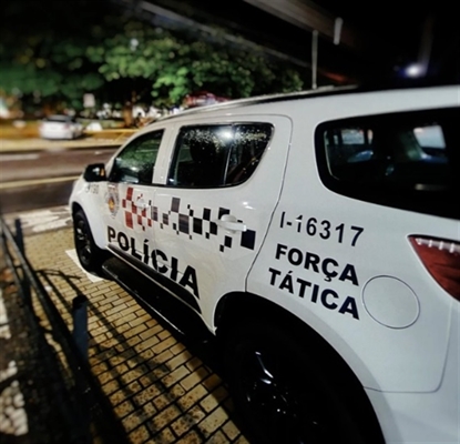 Diante da confirmação, os policiais deram voz de prisão e conduziram a suspeita à Central de Polícia Civil (Foto: Reprodução)