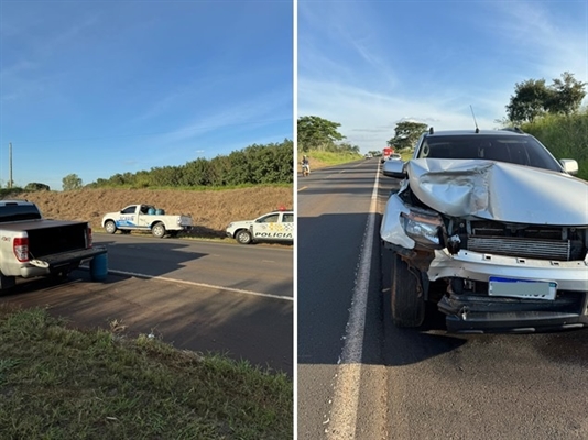 O caso ocorreu quando o motorista de uma caminhonete GM/S10 precisou frear bruscamente (Foto: Reprodução)