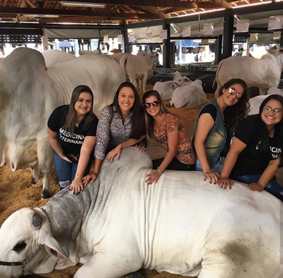 Os estudantes puderam ter uma visão completa das várias vertentes que circundam o setor pecuário (Foto:Unifev)