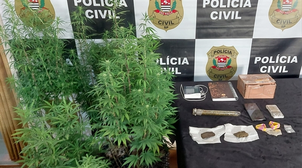 Um jovem de 26 anos, identificado como M.Z.D., foi preso no momento em que recebeu a droga (Foto: Polícia Civil)