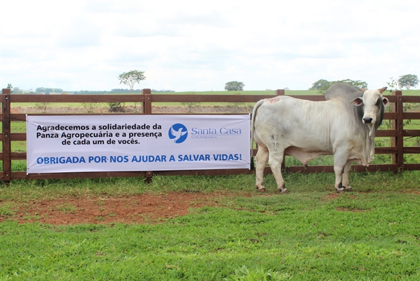 O evento arrecadou R$42 mil para a Santa Casa de Votuporanga neste sábado (11/11), graças ao arremate do Touro Elbur (Divulgação/Santa Casa)