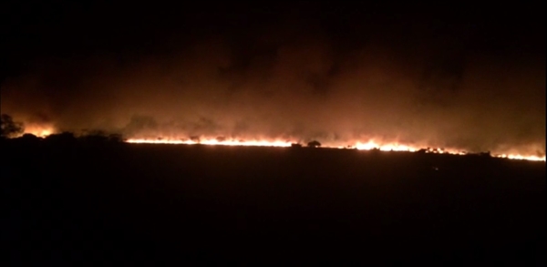 Queimada em Mirassol atingiu terrenos, área de preservação e usinas de cana (Foto: Arquivo Pessoal)