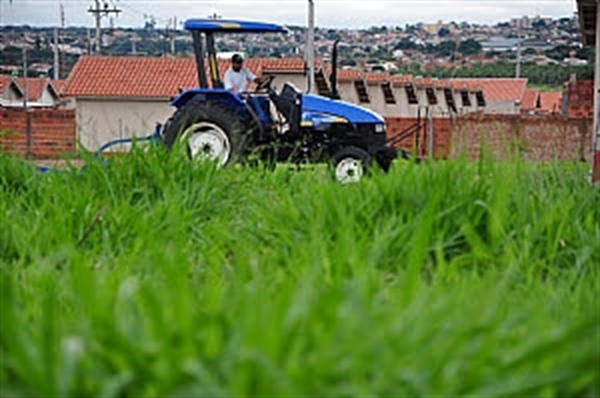 (Foto: Divulgação/Prefeitura de Votuporanga)