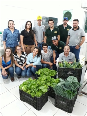  Todas as hortaliças, entre elas alface, couve, cebolinha e salsinha, foram fertilizadas na área de cultivo agrícola da Instituição (Foto: Divulgação/Unifev)