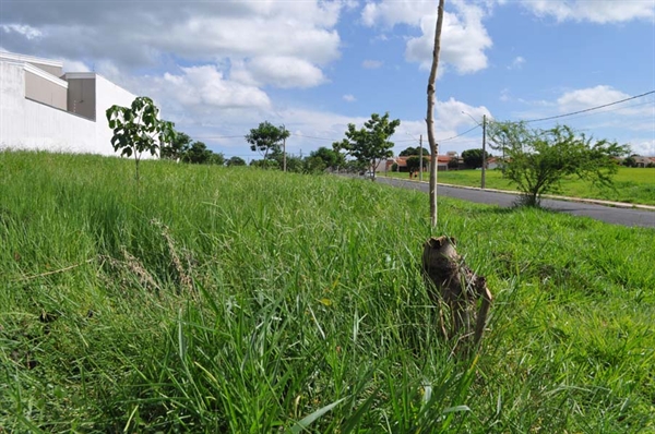 Prefeitura orienta donos sobre a limpeza de terrenos