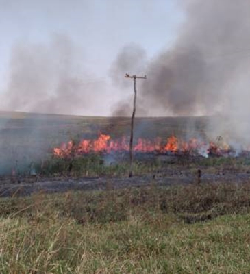 Queimada atinge rede elétrica na área rural de Mirandópolis (Foto: Da Assessoria)