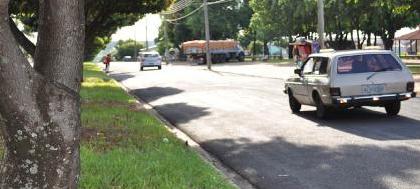 Mais de 80 empresas cuidam das áreas verdes 