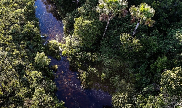 Em comparação ao mesmo mês de 2019, antes do início da pandemia de Covid-19, houve redução de 31,2% no faturamento do setor (Foto: Marcelo Camargo/Agência Brasil)