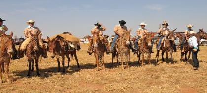 Hoje é dia de 3ª Cavalgada da Igualdade