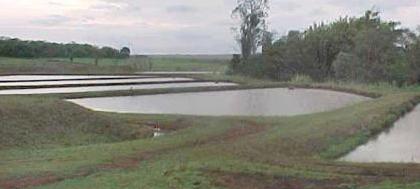 Jura esteve reúne-se com o ministro da Pesca