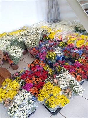 A maioria das floriculturas de Votuporanga espera que as vendas deste ano supere 2018 (Foto: Divulgação/Joãozinho Flores)