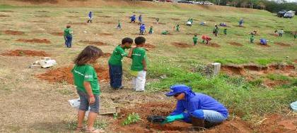Semana da árvore é comemorada com plantio de mudas