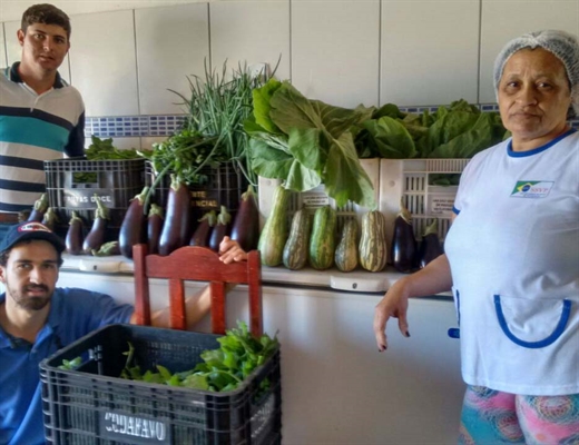 Salsinha, cebolinha, espinafre, almeirão, couve, berinjela e abóbora foram cultivados na horta da Escola pelos alunos (Foto: Divulgação/Unifev) 