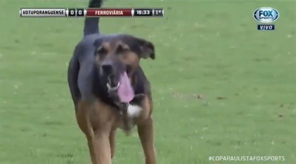 O que foi engraçado para a torcida no momento, no final das contas resultou em multa para a Alvinegra (Foto: Reprodução/Fox Sports)