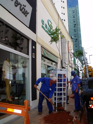 Saev Ambiental atende comerciantes e planta árvores na rua Pernambuco