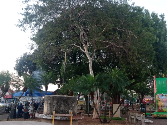 A reportagem do A Cidade sobre o uso de álcool e drogas por adolescentes nas feiras livres repercutiu e mobilizou a Câmara (Foto: A Cidade)