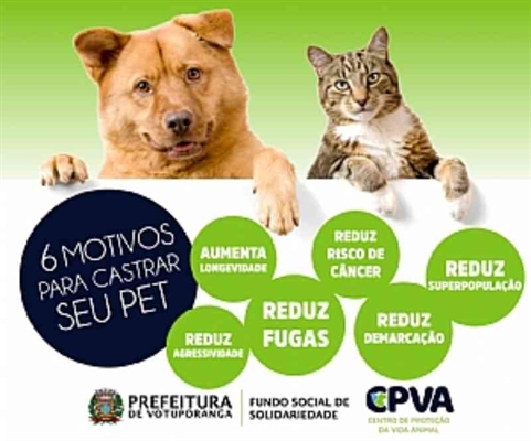 (Foto: Prefeitura de Votuporanga)