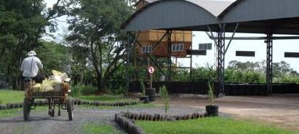 Ecotudo é solução para limpeza dos quintais