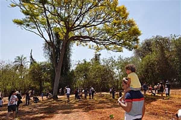 (Foto: Divulgação/Prefeitura de Votuporanga)