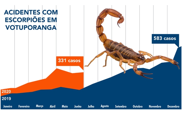 Jéssica fez um apelo nas redes sociais para que as pessoas cuidem de seus quintais e evitem mais acidentes (Foto: Redes sociais)