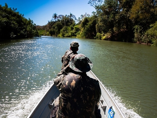 (Foto: Divulgação/PM Ambiental)