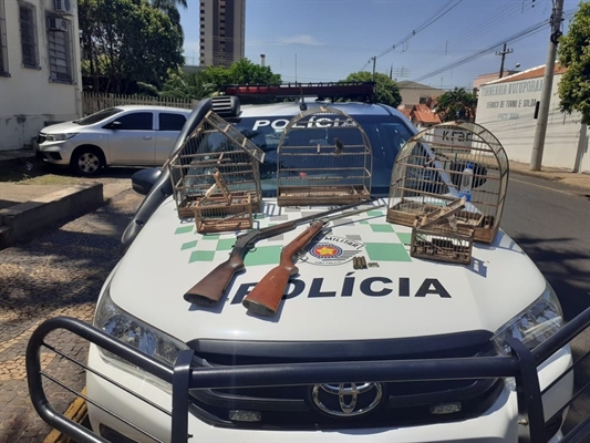 Polícia Ambiental apreende armas e aves em Sebastianópolis do Sul (Foto: Divulgação/ Polícia Ambiental)
