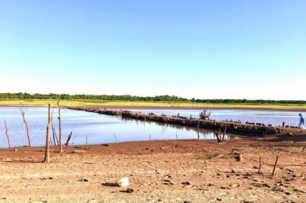 Baixo nível do rio Grande fez com que ponte submersa ressurgisse em Guaraci (Foto:Reprodução/Ana Karina Marçal)