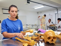 Empresa Júnior da Unifev viabiliza mais de 800 oportunidades de estágio em 2017