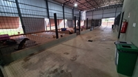 O CPVA de Votuporanga irá realizar agora semanalmente a feira de adoção nas principais praças da cidade (Foto: Divulgação)