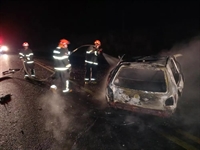 O Corpo de Bombeiros foi acionado para controlar as chamas (Foto: Divulgação)