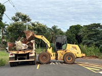 Já foram recolhidos mais de dez caminhões de materiais inservíveis que poderiam servir de criadouro do mosquito da dengue (Foto: Prefeitura de Votuporanga)