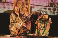 Festival será realizado até o dia 28 deste mês, em São José do Rio Preto. Apresentações serão no Teatro do Sesi e no Espaço Fábrica de Sonhos (Foto: Luiz Aurélio)