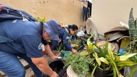 Recentemente o município apresentou novas medidas nas ações de enfrentamento à Dengue (Foto: Prefeitura de Votuporanga)