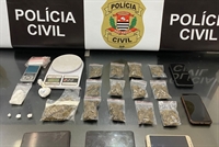 Foram apreendidos aproximadamente 230 gramas de maconha e 62 gramas de cocaína (Foto: Divulgação)