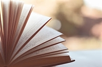  Casa das Rosas oferece formação sobre poesia além dos livros