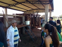 Alunos do curso de Medicina Veterinária da Unifev participam de aula prática sobre doenças parasitárias
