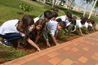 Alunos do Colégio Unifev plantam árvores em comemoração à Semana do Meio Ambiente