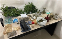 Os policiais descobriram uma estufa altamente sofisticada para a produção de ‘maconha gourmet’ (Foto: Baep)