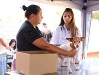 Curso de Medicina Veterinária da Unifev inicia projeto no Palmeiras I