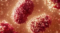 Casos de varíola dos macacos chegam a 76 em todo o país